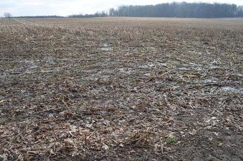 Property photo 83 - 98+/- Acres Offered in 6 Tracts or Combinations, Noble County, Indiana Farm